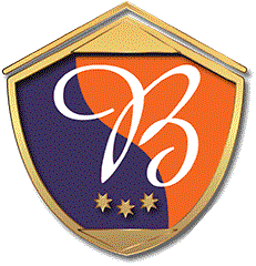 Logo schild DBS - Badges en Patches